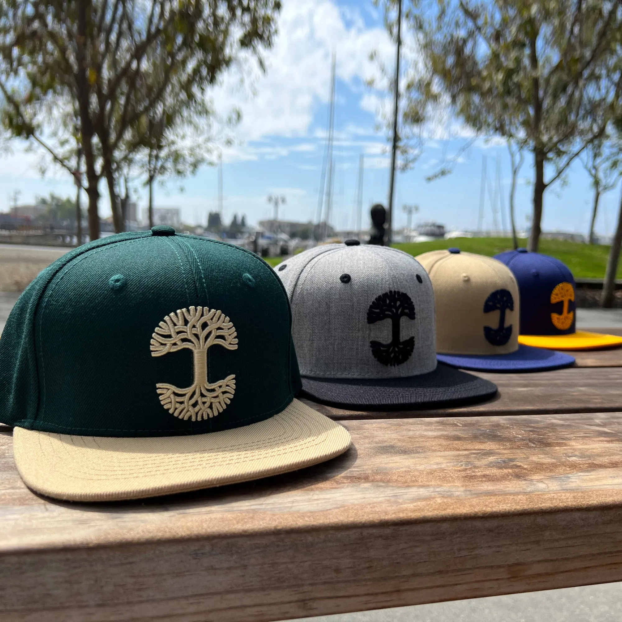 Oaklandish Classic Snapback